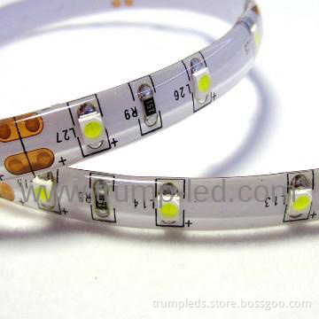 Wholesale waterproof 12v /24v dimmable led flex strip light